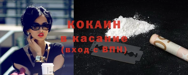 гашик Аркадак