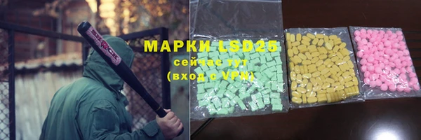 гашик Аркадак