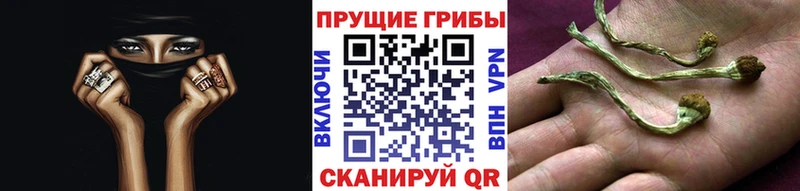 блэк спрут маркетплейс shop наркотические препараты Псилоцибиновые грибы Cubensis купить Козьмодемьянск