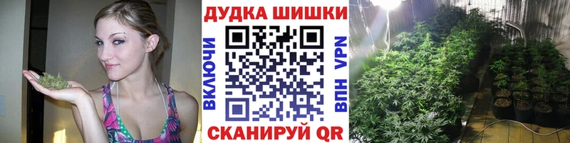 магазин  наркотиков  ссылка на мегу ССЫЛКА  Конопля ГИДРОПОН  Козьмодемьянск 